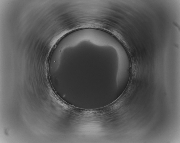 X0000102240854200808081434