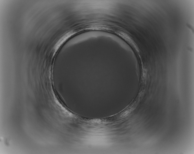 X0000102240855200808081434