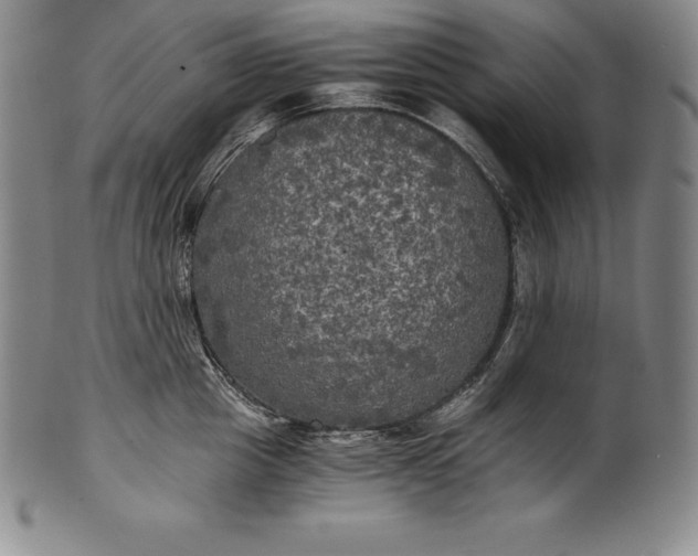 X0000102240857200808081434