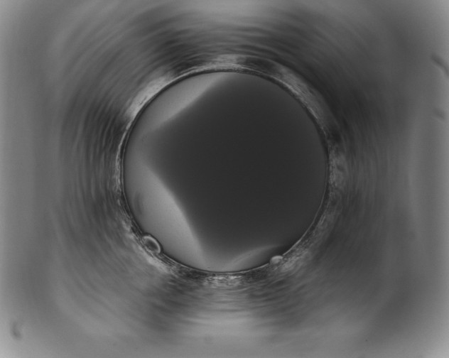 X0000102240858200808081434