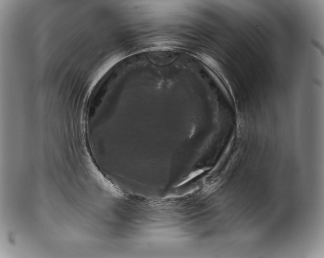 X0000102240859200808081434