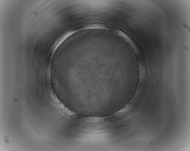 X0000102240860200808081434