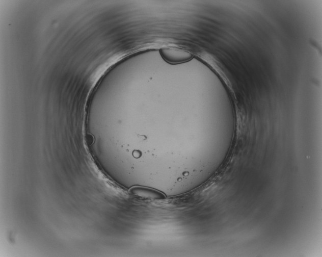 X0000102240861200808081434