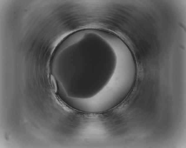 X0000102240862200808081434