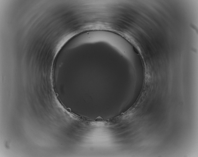 X0000102240863200808081434