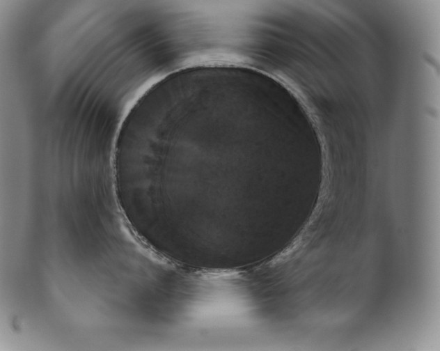 X0000102240864200808081434