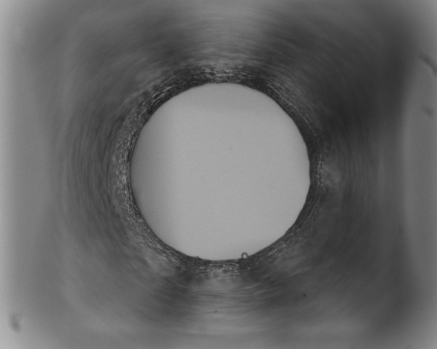 X0000102240865200808081433