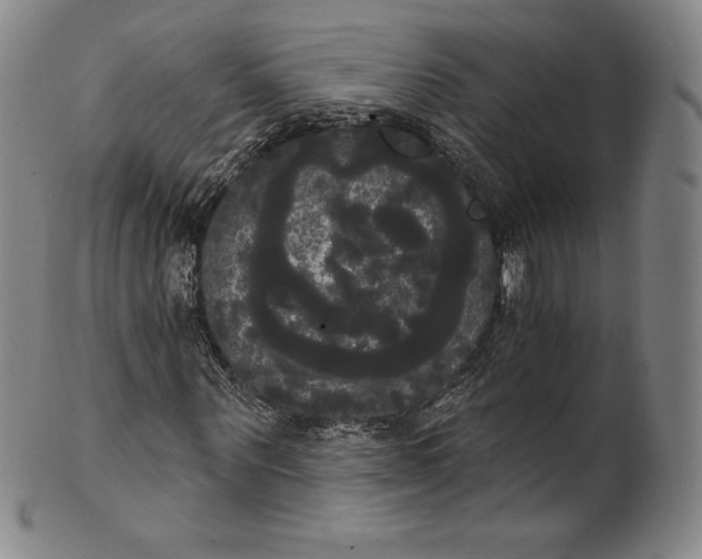 X0000102240867200808081433