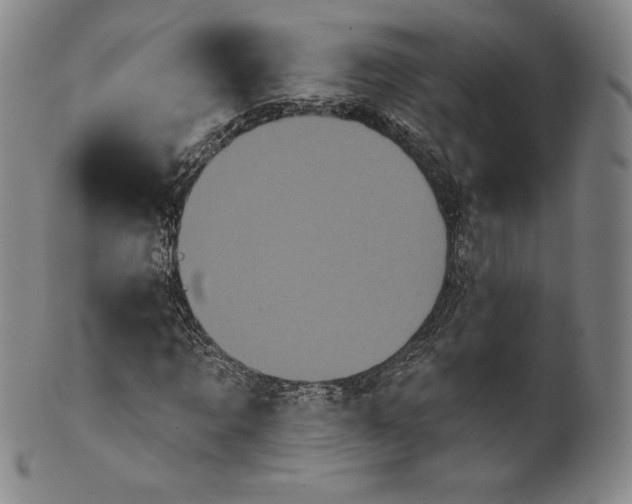 X0000102240869200808081433