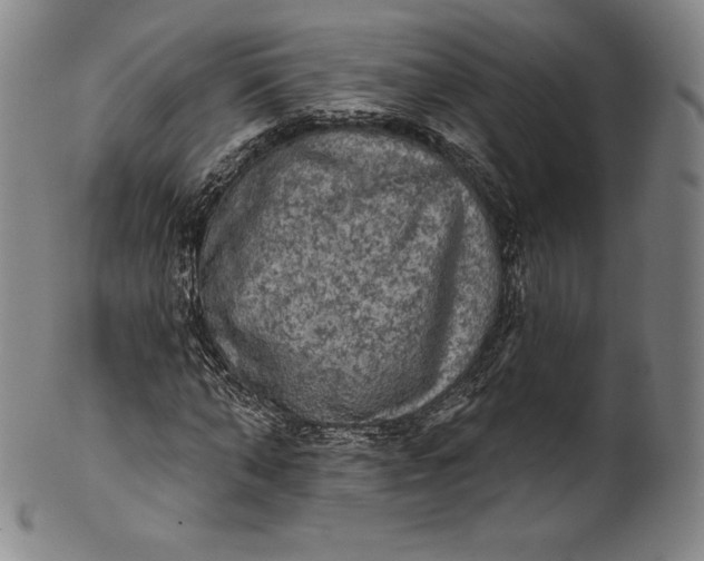 X0000102240870200808081433