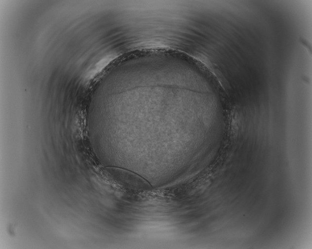 X0000102240871200808081433