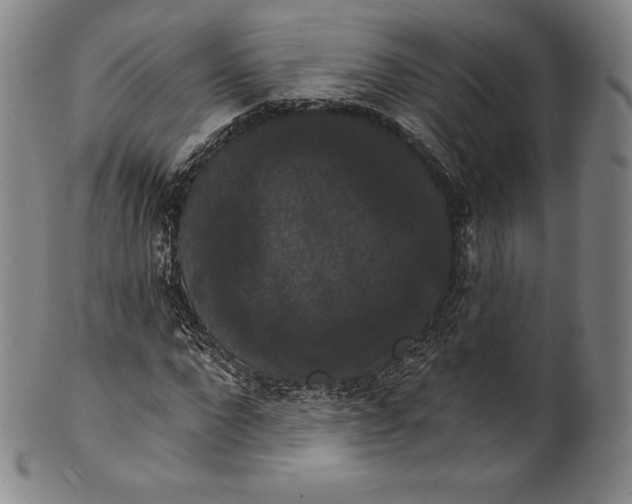 X0000102240872200808081433