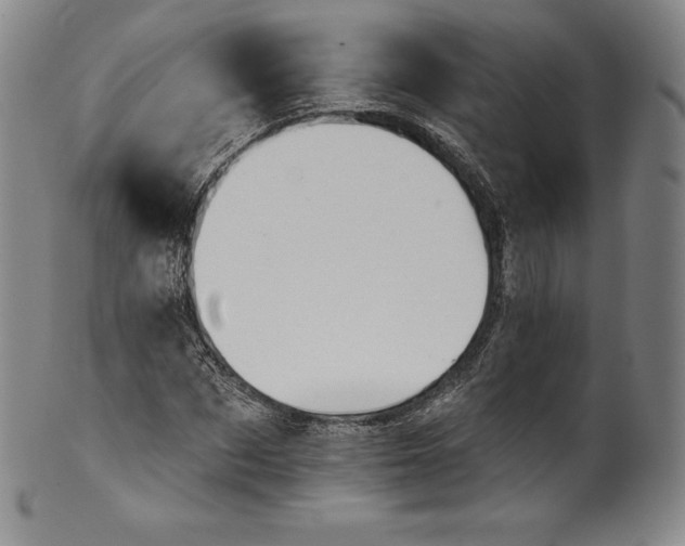 X0000102240873200808081433