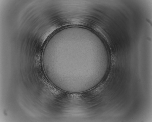 X0000102240875200808081433