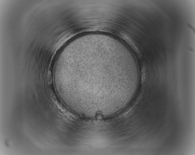 X0000102240876200808081433