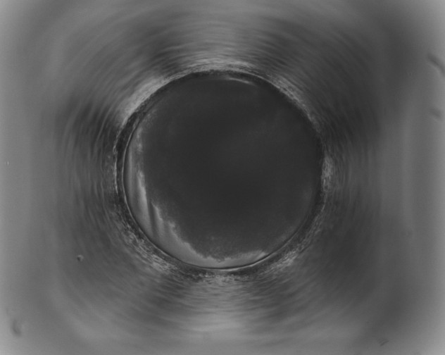 X0000102240877200808081433