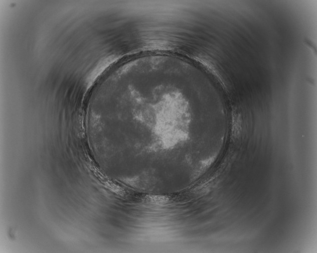 X0000102240878200808081433