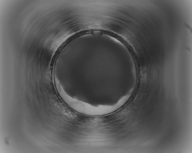 X0000102240879200808081433