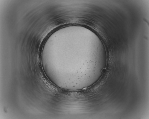 X0000102240880200808081433