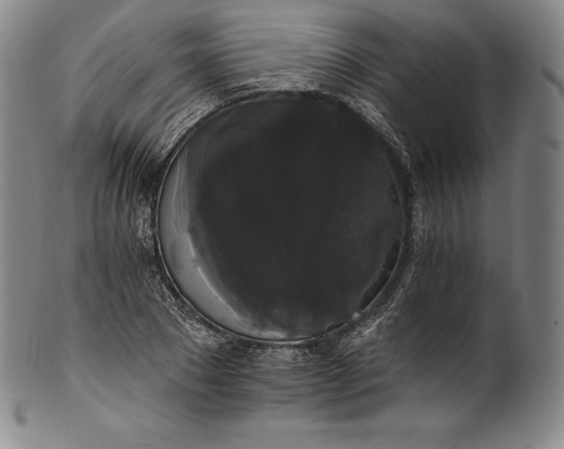 X0000102240881200808081433