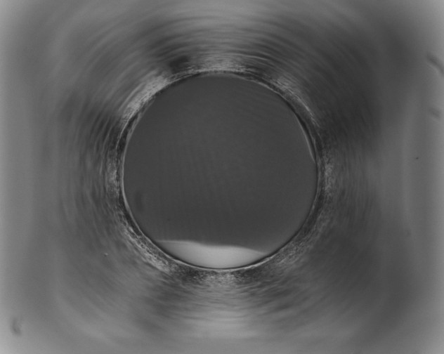 X0000102240882200808081433