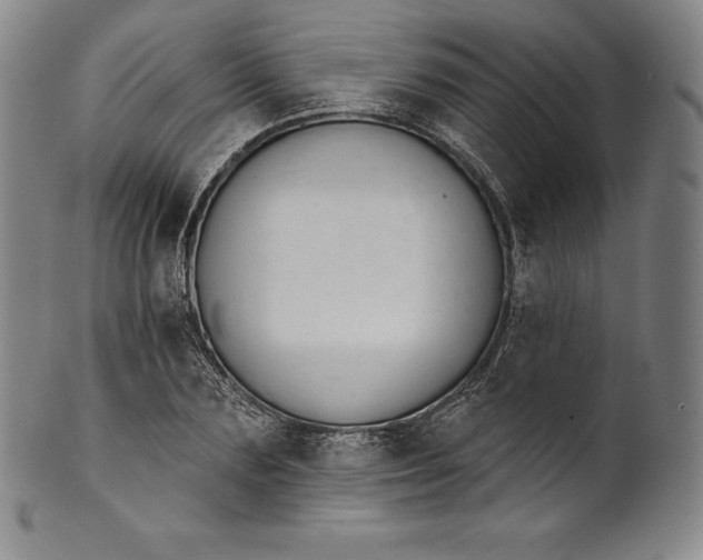 X0000102240883200808081433