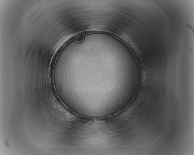 X0000102240884200808081433