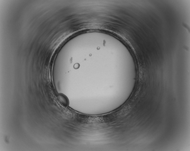 X0000102240887200808081433