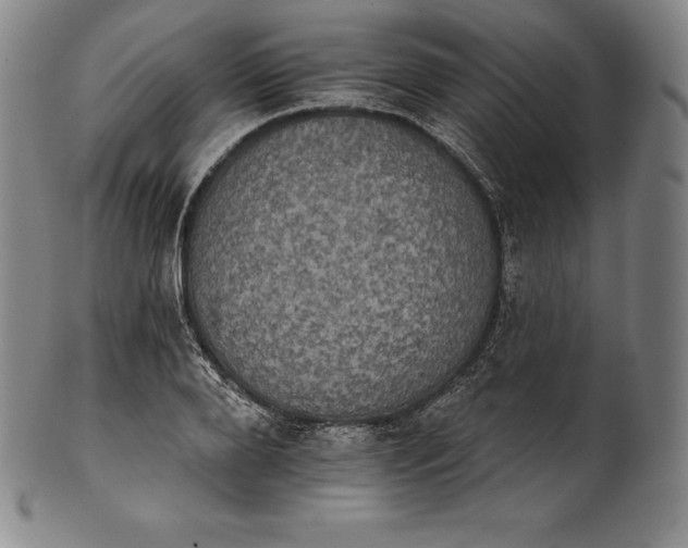 X0000102240888200808081433