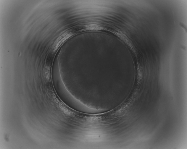 X0000102240889200808081433