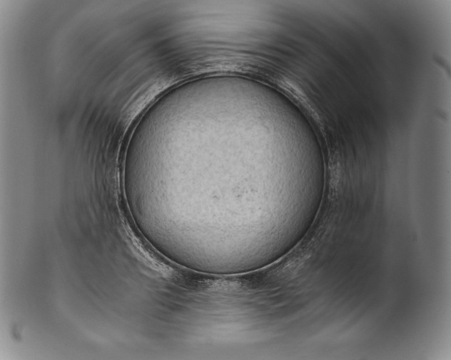 X0000102240890200808081433