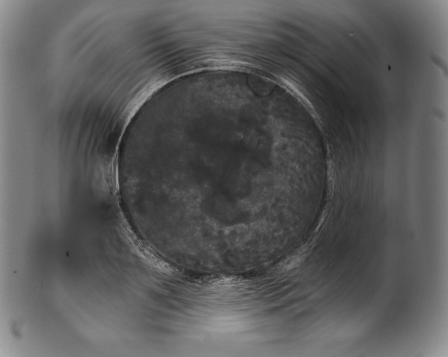 X0000102240891200808081433