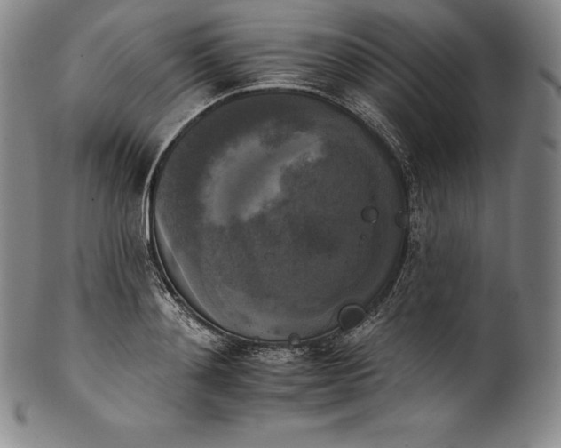 X0000102240892200808081433