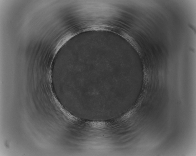 X0000102240893200808081433