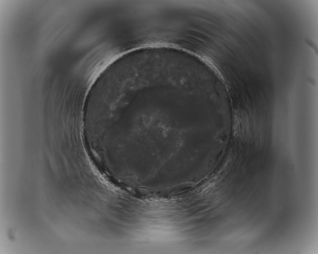 X0000102240895200808081433