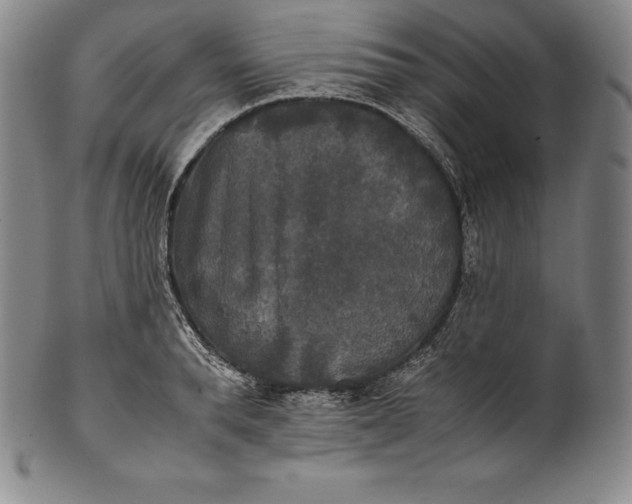 X0000102240896200808081433