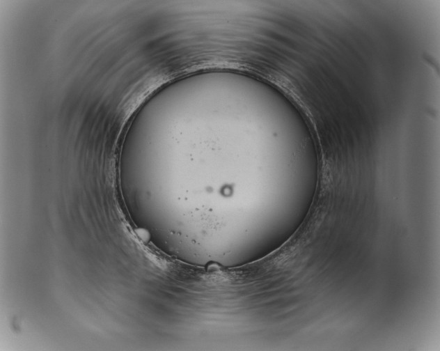 X0000102240898200808081433