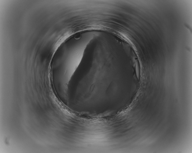 X0000102240899200808081433