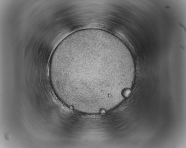 X0000102240900200808081433