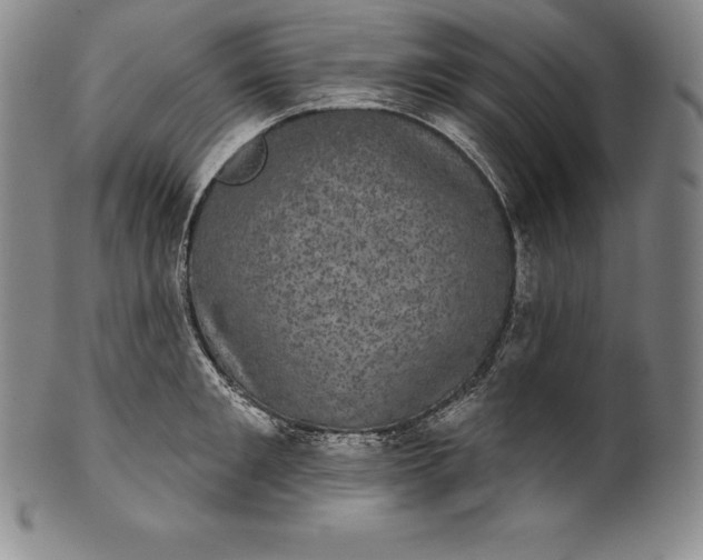 X0000102240901200808081433