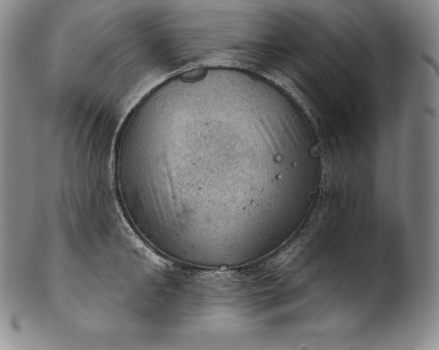 X0000102240902200808081433