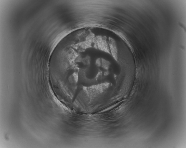 X0000102240903200808081433