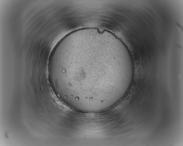 X0000102240904200808081433