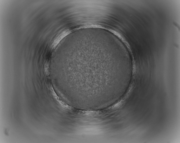 X0000102240905200808081433