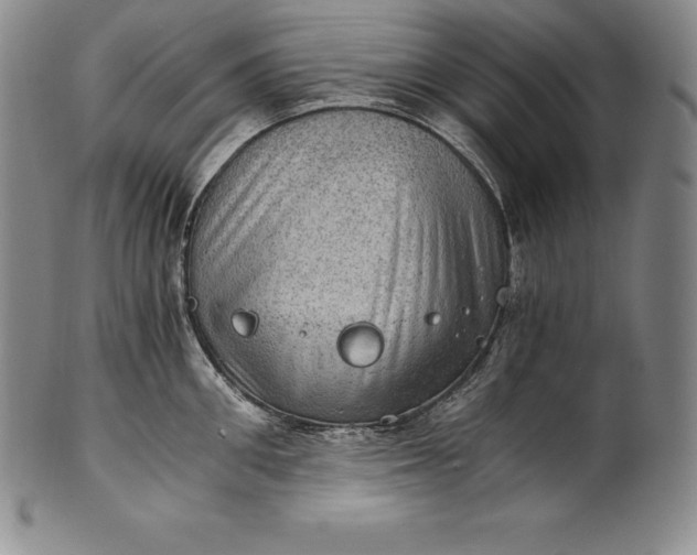 X0000102240906200808081433