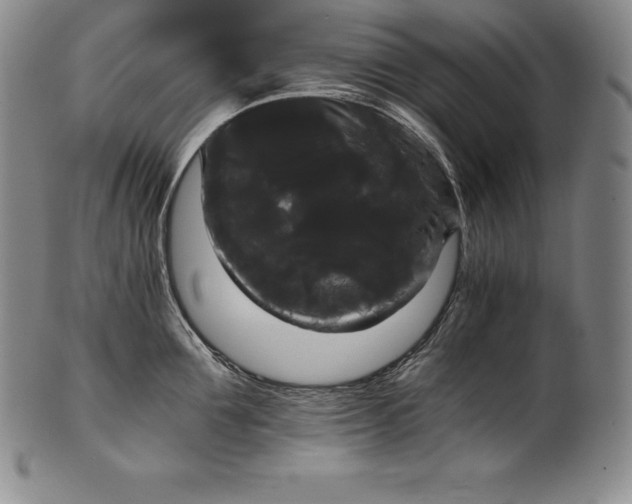 X0000102240907200808081433