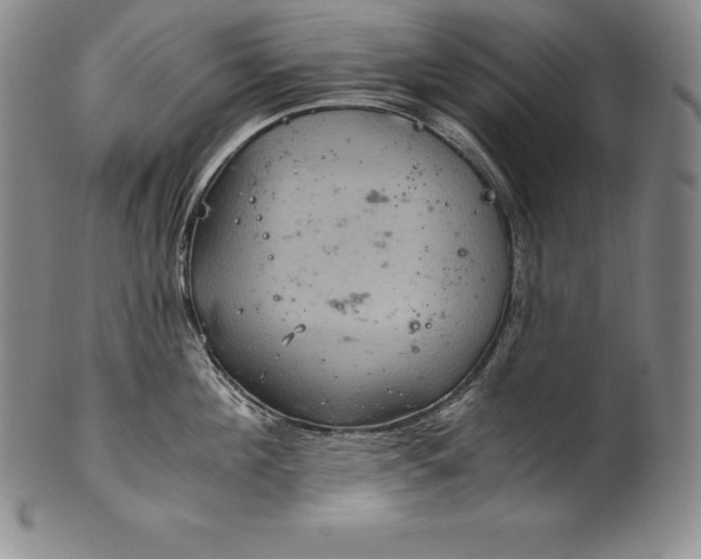 X0000102240908200808081433