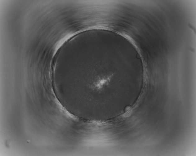 X0000102240910200808081433