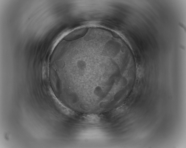 X0000102240911200808081433