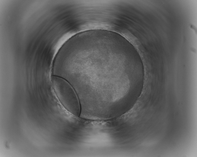 X0000102240912200808081433